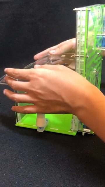 Муравьиная ферма из Китая смотреть онлайн