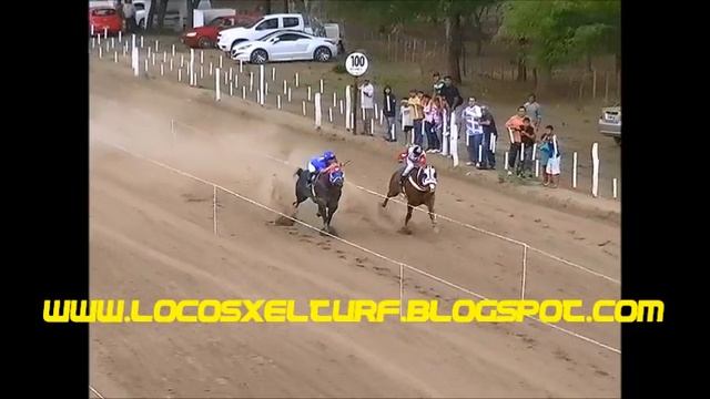 AQUILES(Club Hípico Pancho Monti-Frias)14-10-13 смотреть онлайн