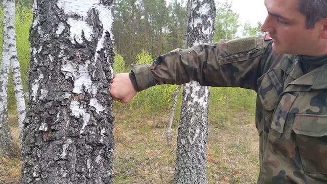 Jak Szybko Wzmocnić Pięści i Kostki? - Wojskowy Poradnik смотреть онлайн
