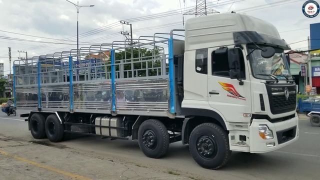 Xe tải DONGFENG 4 CHÂN Cabin nóc cao 2022 смотреть онлайн