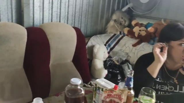 Продолжение... шашлык-машлык🤭 и другие приятности смотреть онлайн