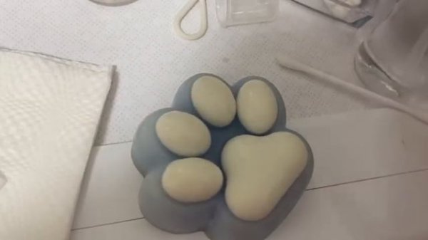 Как помыть таба лапку? #обзор #табасквиш #лапки #асмр #subscribe #shorts