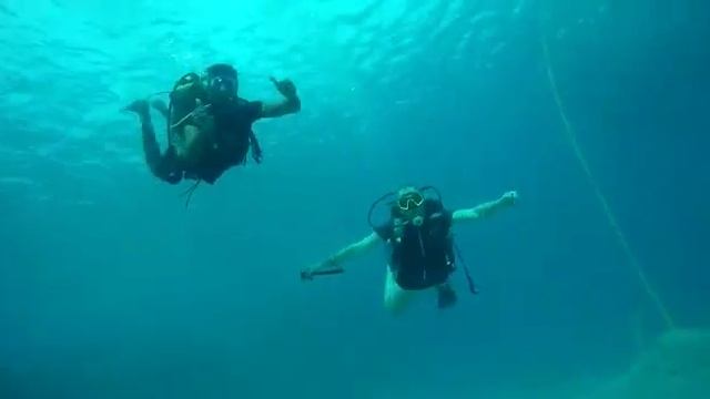 Дайвинг в Хургаде с Sealovers Tours смотреть онлайн