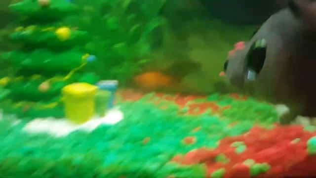 Tour of fish tank 2.0 смотреть онлайн