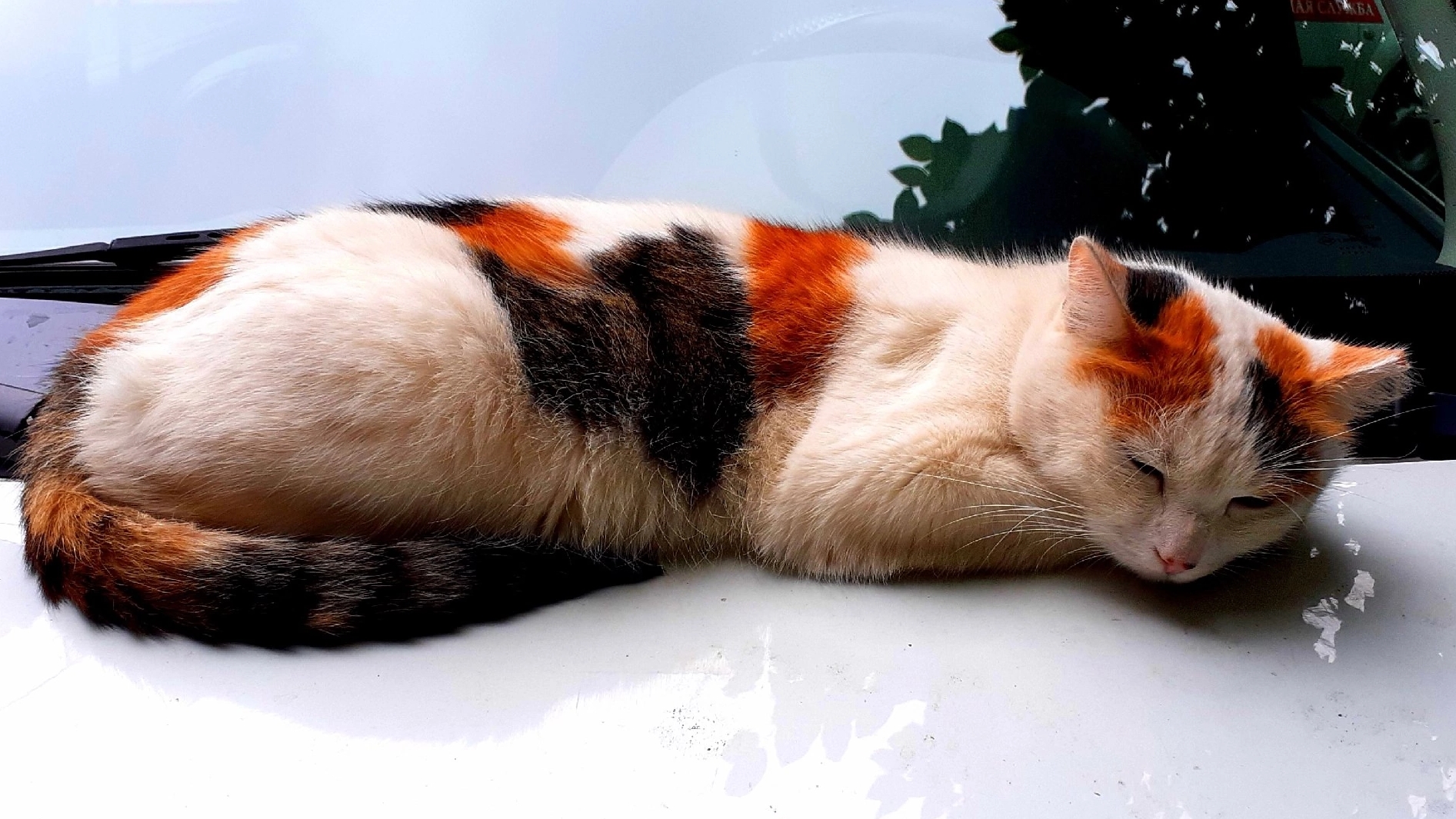 АВАРИЙКА такая наша РАБОТА смотреть онлайн