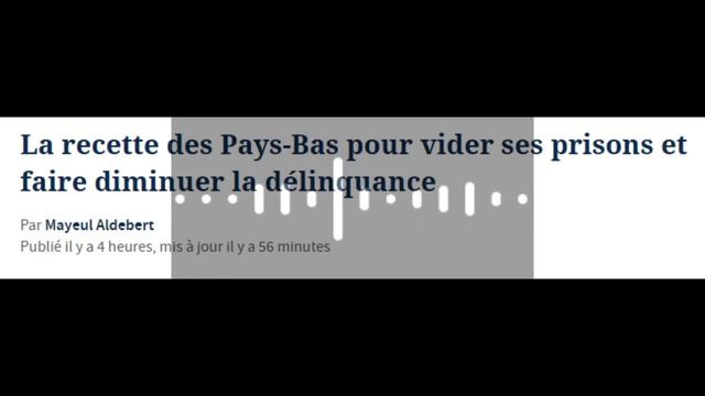 La recette des Pays-Bas pour vider les prisons (Le Figaro) смотреть онлайн