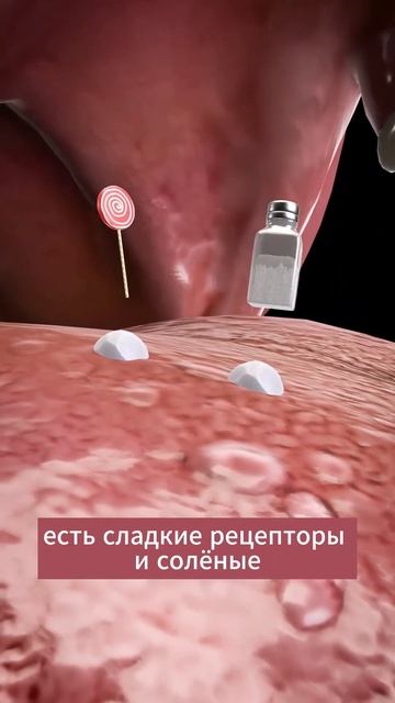 Картошка Фри и Мороженное ? #shorts смотреть онлайн