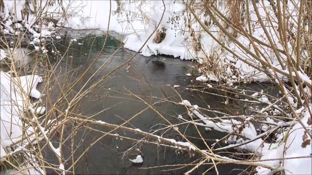 Flow смотреть онлайн
