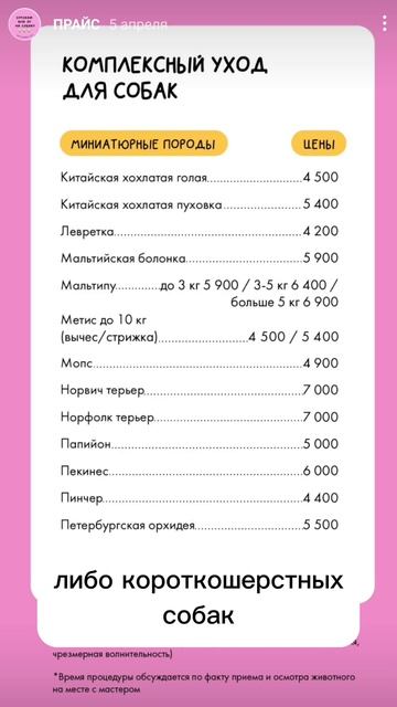 Пыльник или груминг? Что выгоднее? #одеждадлясобак #одеждадлямаленькихсобак #stema_brand смотреть онлайн