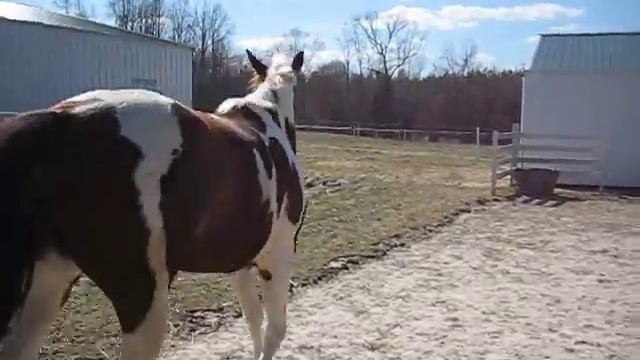 Margarita 2 смотреть онлайн