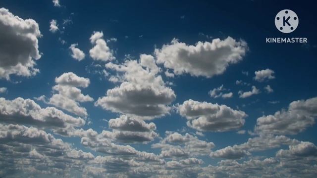 The Commandment Series 9 How One Can Lie And not Know It смотреть онлайн