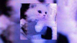 flёur-Тёплые Коты[когти могут впиться в ногу,но нога же ведь не сердце] (speed up)