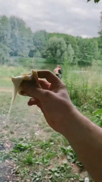 Хачапури на МАНГАЛЕ!) пробовали ?) хотите рецепт ?) #shorts смотреть онлайн