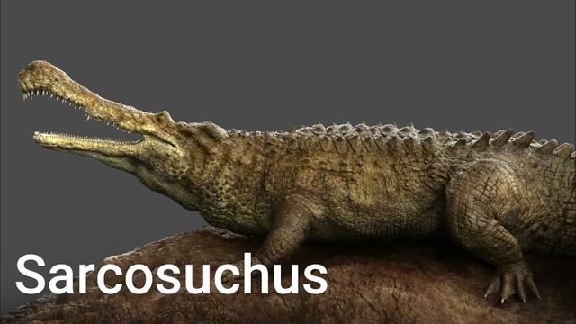 How Large Can Animals Get? смотреть онлайн