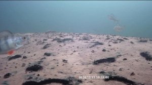 FILE241211-101739-000162R-converted