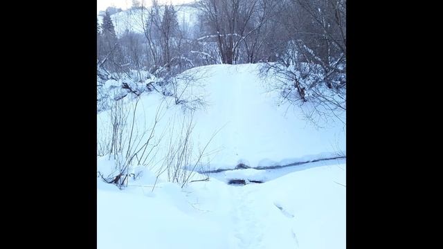 Зима в Сыктывкаре.Фото зимы в лесу и на речке. смотреть онлайн