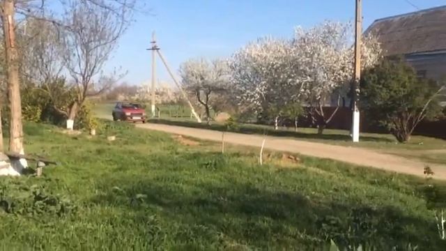 Vw jetta mk1 смотреть онлайн