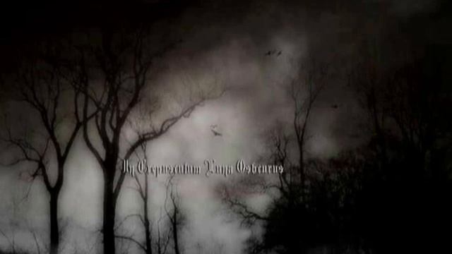 Satanis Maleficarum - Infernum Ritus Maleficarum / In Crepusculum Cultus Funebris смотреть онлайн