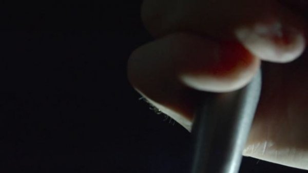 История похищения Элисон Бота(Alison Botha)