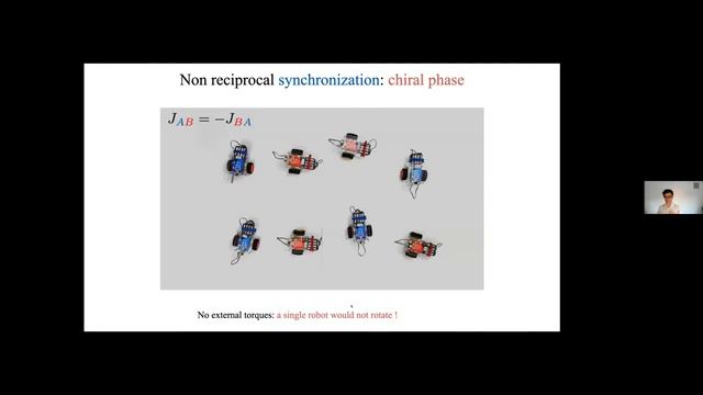 Non-Reciprocal Phase Transitions by Vincenzo Vitelli смотреть онлайн