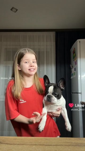 Моя собака смотреть онлайн