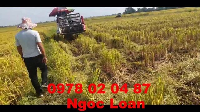 Ban may gat lua da su dung Dc35 , Lai Chau, 0978020487 смотреть онлайн