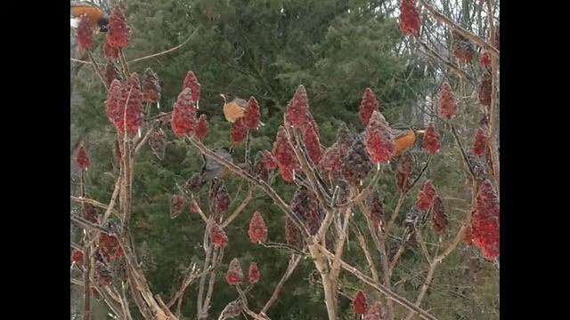 Ma chère vallée смотреть онлайн