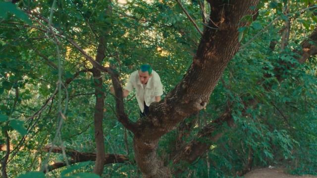 Levis Gayki смотреть онлайн