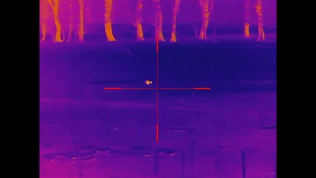 IRay UK RICO RH50 LRF Thermal Riflescope - Ultimate Compilation смотреть онлайн