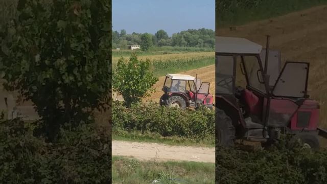 Zetor 5211 Claas Markant 55