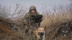 Штурмовик Вадим Неретин