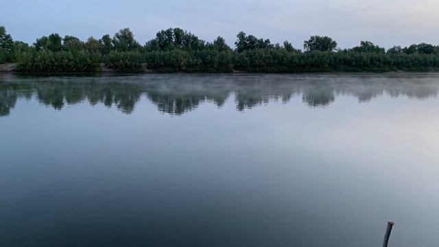 14 декабря 2020 г. смотреть онлайн