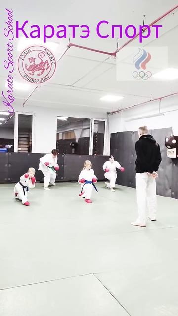 Karate Sport Каратэ Спорт