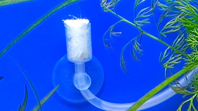 Co2 difüzör #diffuser смотреть онлайн