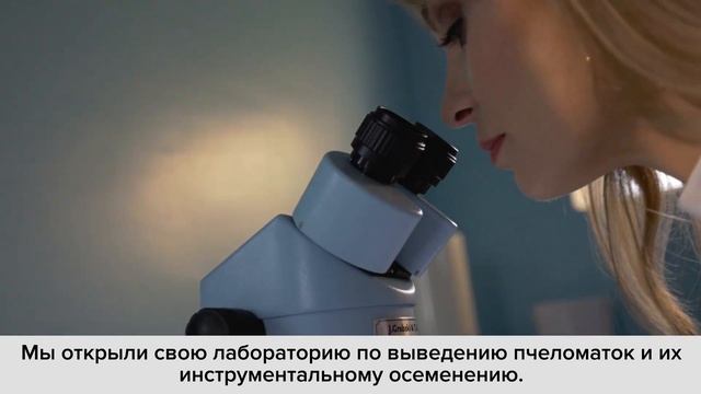 Инициатива "АпиМир: новые возможности для сельского бизнеса" смотреть онлайн