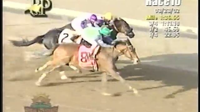 Spiral Stakes Package 2015 (1982-2014) смотреть онлайн