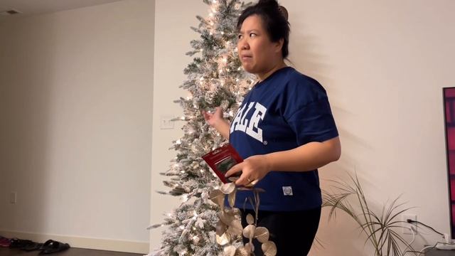TARA MAG CHRISTMAS TREE SHOPPING! смотреть онлайн