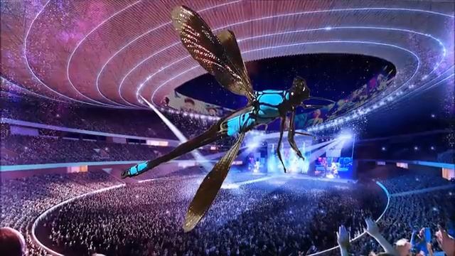 Dragonfly is hanging around смотреть онлайн