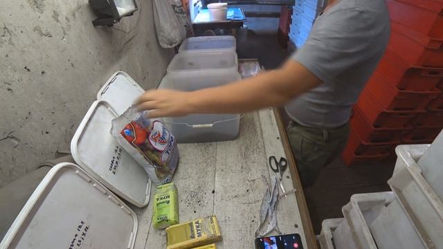 Составьте свой правильный корм для Дендробены. 1часть. смотреть онлайн