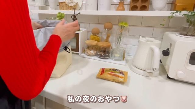 203. キッチンが癒しの主婦の日常vlog💕猫3匹と夫婦の休日／お家のお掃除／Francfranc &コスメのお買い物🛍️朝昼晩の食事／お気に入り調味料もご紹介！ смотреть онлайн