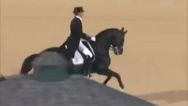 Dressage to Hip Hop | by @Horsevideos1 on Instagram смотреть онлайн