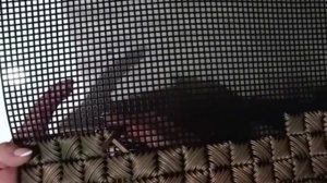 как в одной ячейке поместить 4 ленты, при вышивке на канве ротангом, и не разорвать