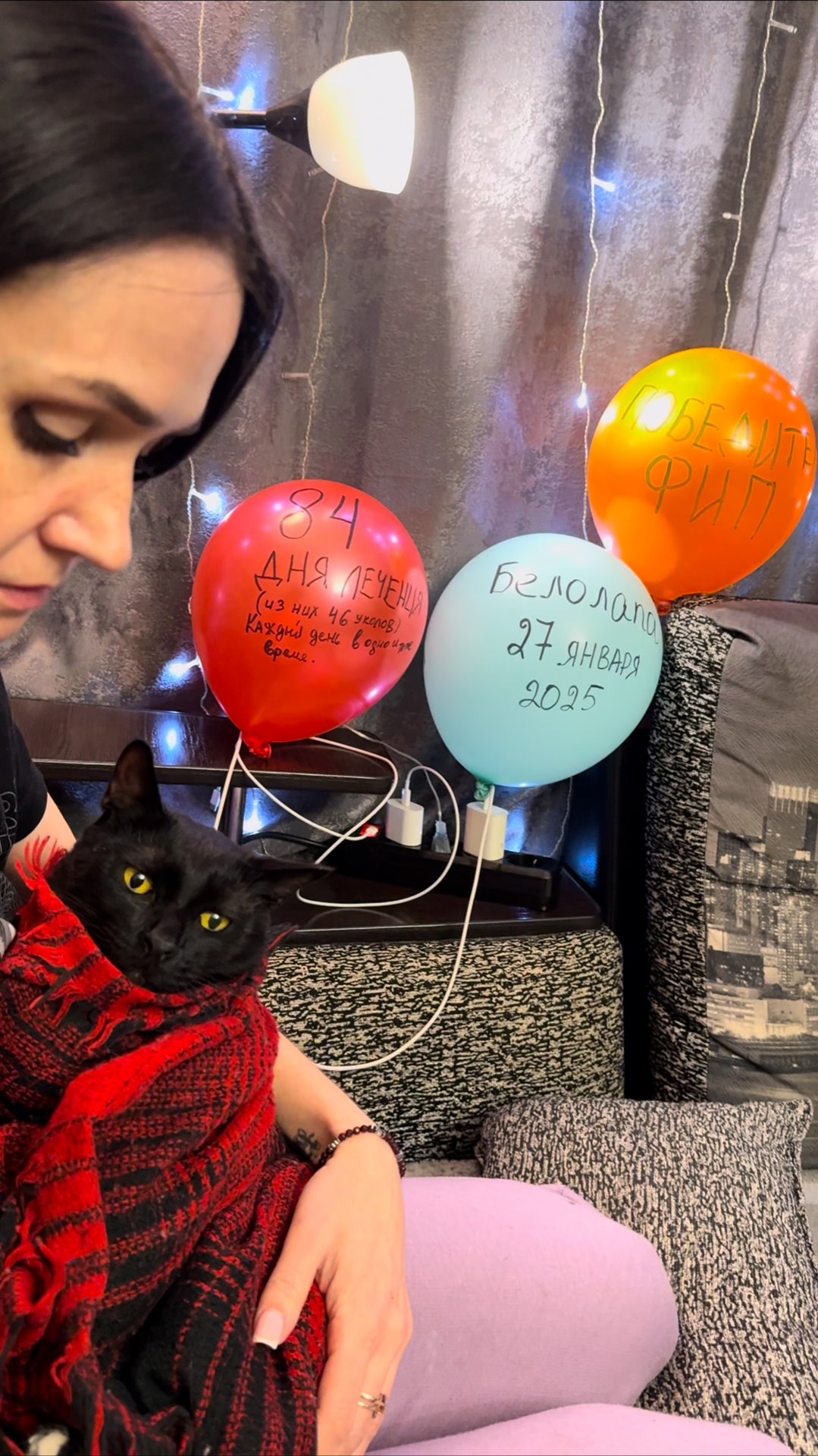 Победить ФИП- Белолапа.