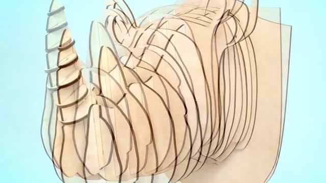 Голова Носорога - Трофей на стену смотреть онлайн