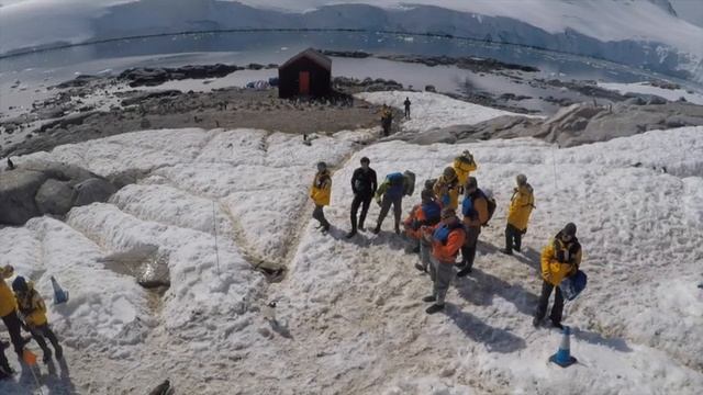 Damon & Donna's awesome Antarctic Adventure (Antarctic Explorer - Quark Expeditions - Jan 9 - 19) смотреть онлайн
