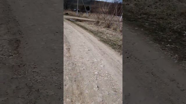 😀 САМ В ШОКЕ 🤯 ОТ ЖИЗНИ, Я В КИНО 📽 ТОЛЬКО ВИДЕЛ смотреть онлайн