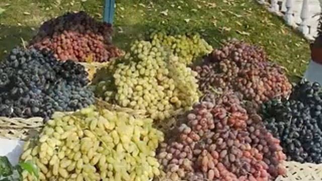 Узбек милли таомлари смотреть онлайн