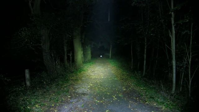 Lupine Betty TL2S 4500 Lumen - Zebralight S6330 2400 Lumen смотреть онлайн