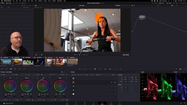Basisles Color Page in Davinci Resolve смотреть онлайн