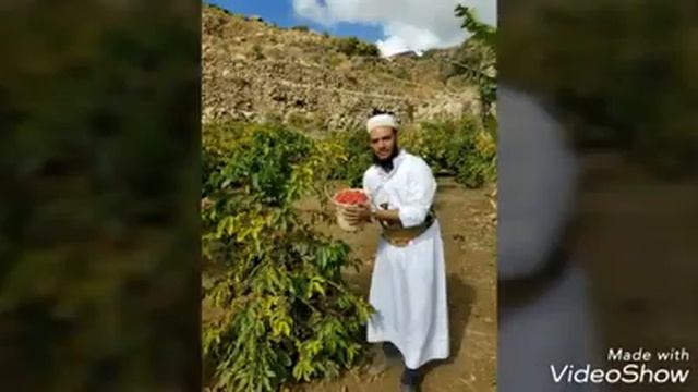 Yemen Haraaz Coffee смотреть онлайн